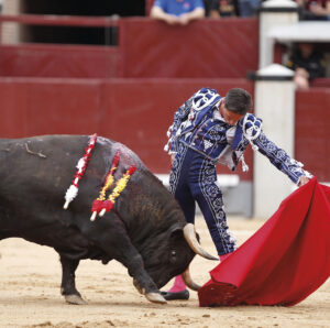 En los últimos años Diego Urdiales ha lucido varios trajes de luces bordados con motivos inspirados en su tierra, la hoja de parra y un racimo de uvas. Este año también lo ha hecho en su versión goyesca, como lo hizo con el vestido que estrenó en Las Ventas el Dos de Mayo.