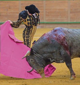 “Este año me ha servido para madurar”