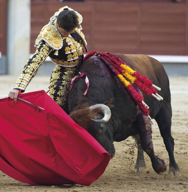 “Este año he crecido asumiendo la dureza de la vida”