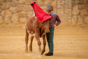 La Navidad invita al optimismo. La foto del niño Carlos Siles Lozano delante del miura, más todavía.