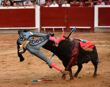 Manzanares, sin lesiones tras el tremendo palizón de Cali