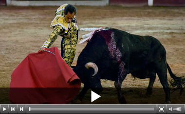 Bolívar, saludos, y Perera, tres avisos en la penúltima de Cali