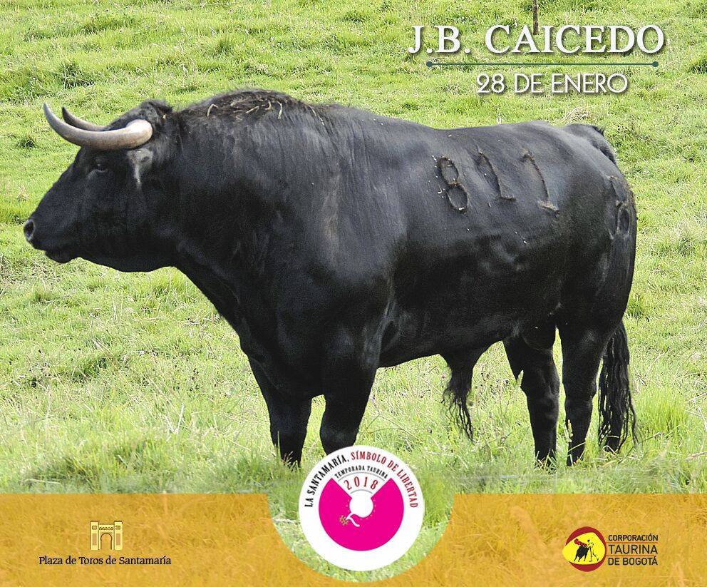 Los toros de Juan Bernardo Caicedo para la segunda corrida de toros de la temporada en la Santamaría de Bogotá, que serán estoqueados por Enrique Ponce, Roca Rey y Juan de Castilla.