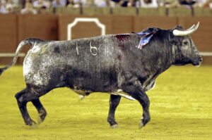 Partido de Resina es una de las ganaderías que lidiará utreros este año en la Maestranza.