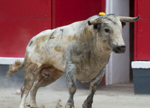 "Cartuchero", de Ana Romero, premiado por la Comisión. (Foto: Javier Arroyo)