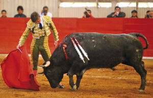Los empresarios aguardan el regreso de Juli para cerrar las primeras ferias.