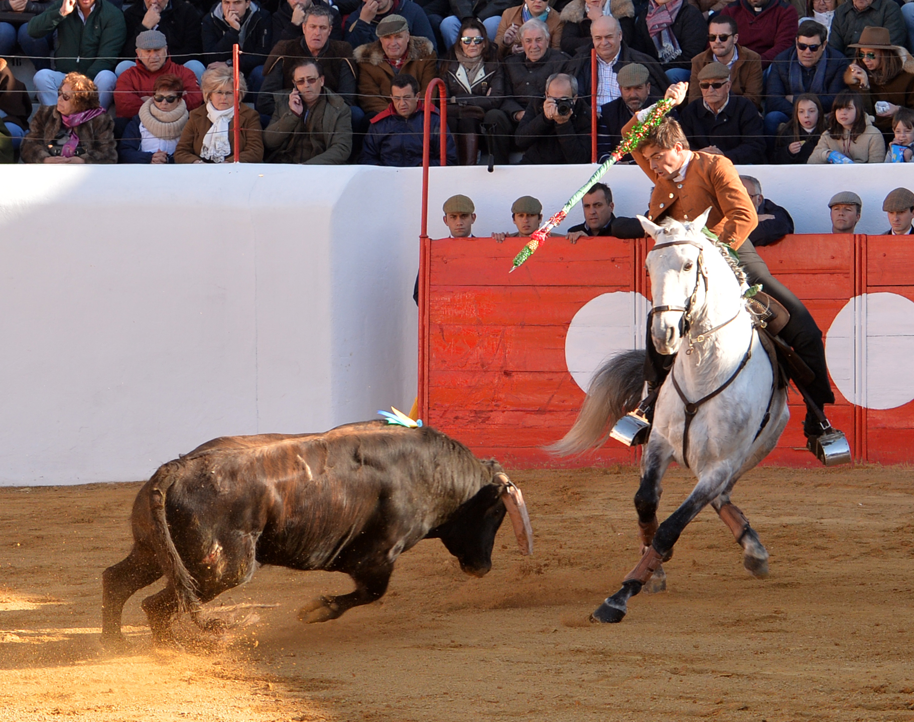 Festival de Mourao (Portugal). Jueves, 1 de febrero de 2018.