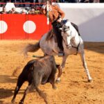 Festival de Mourao (Portugal). Jueves, 1 de febrero de 2018.