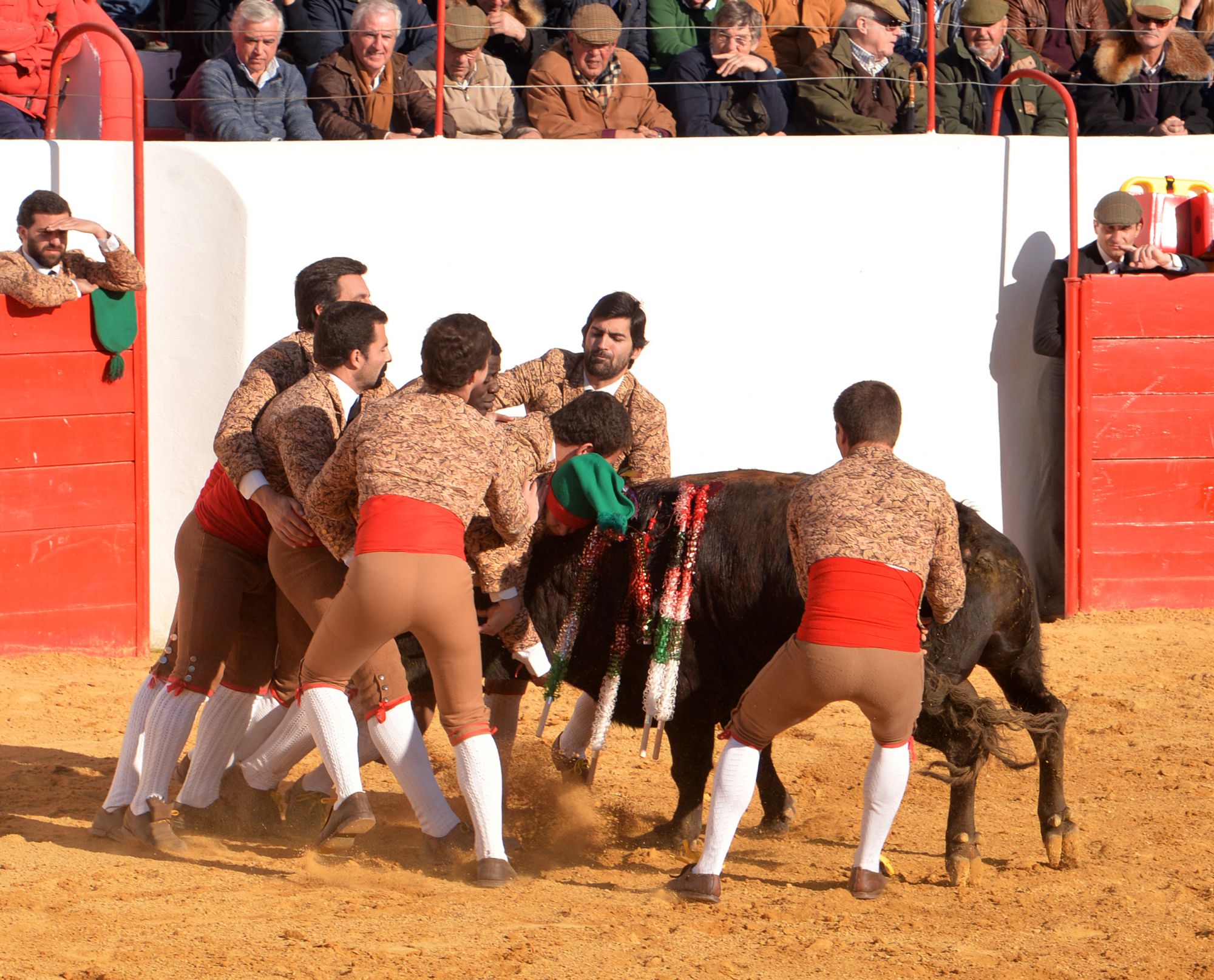 Festival de Mourao (Portugal). Jueves, 1 de febrero de 2018.