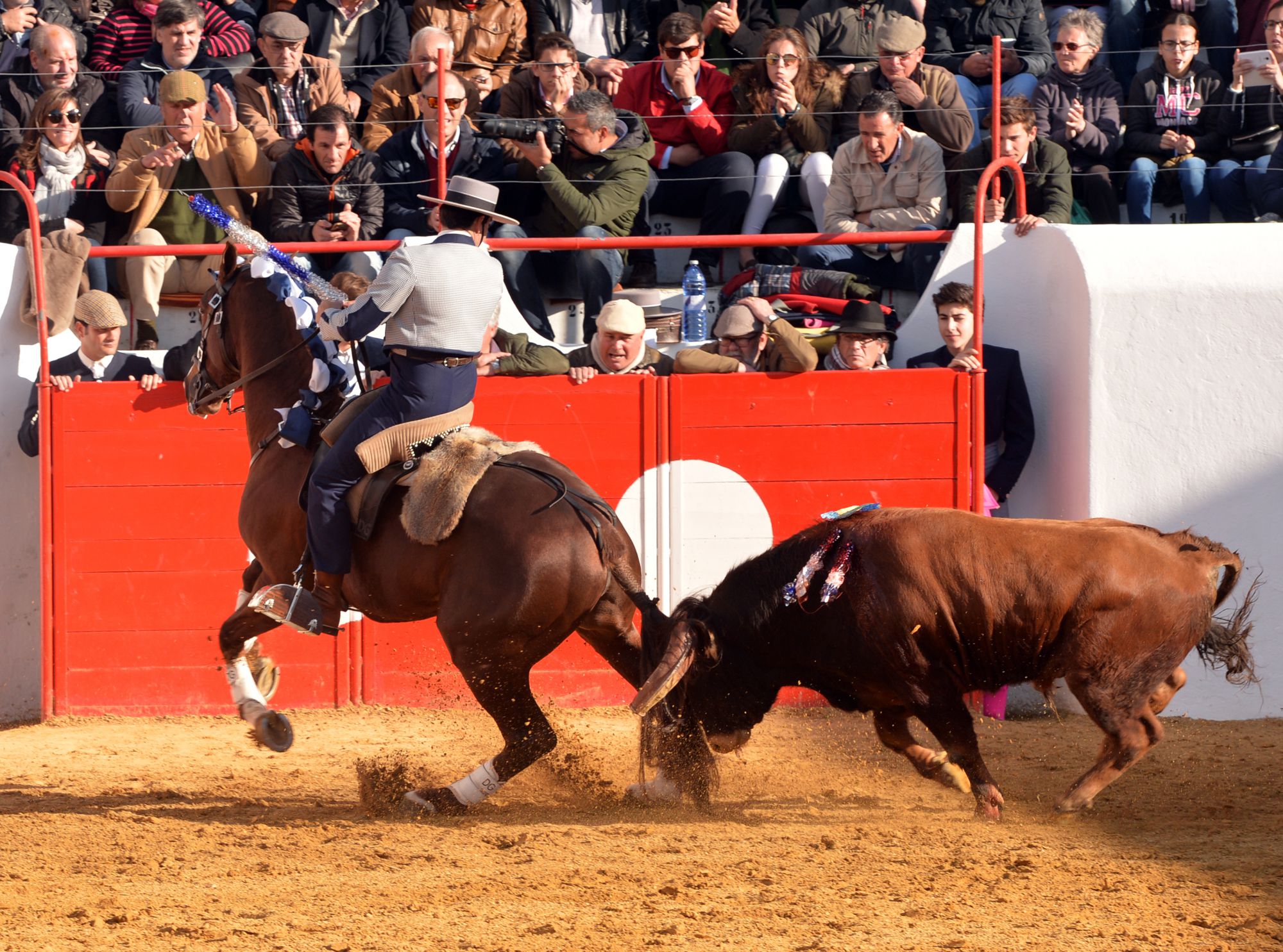 Festival de Mourao (Portugal). Jueves, 1 de febrero de 2018.