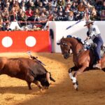 Festival de Mourao (Portugal). Jueves, 1 de febrero de 2018.