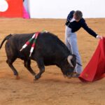 Festival de Mourao (Portugal). Jueves, 1 de febrero de 2018.