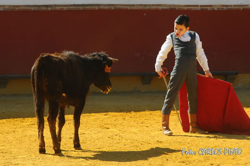XI Trofeo Fundación El Juli