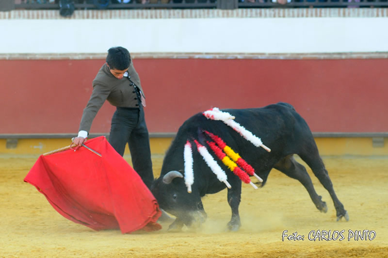 XI Trofeo Fundación El Juli