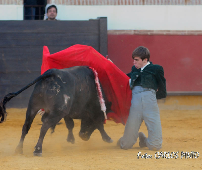 XI Trofeo Fundación El Juli