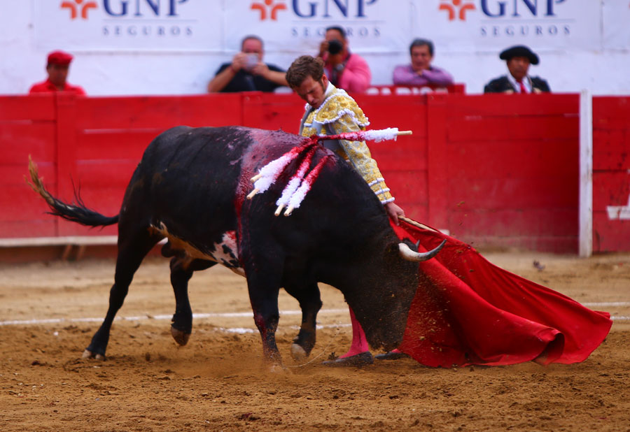 Guadalajara (México), 25 de febrero de 2018.