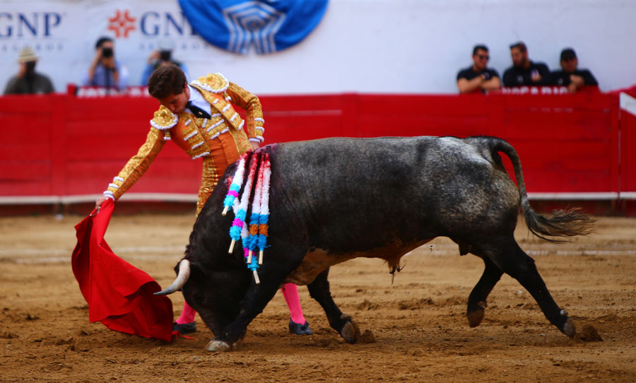 Guadalajara (México), 25 de febrero de 2018.