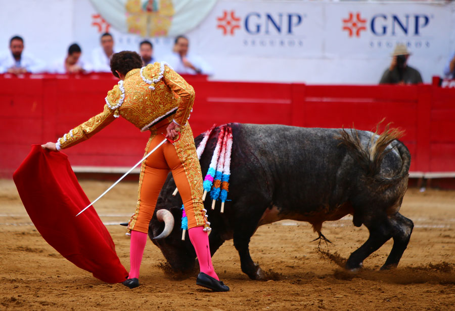 Guadalajara (México), 25 de febrero de 2018.
