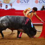 Guadalajara (México), 25 de febrero de 2018.