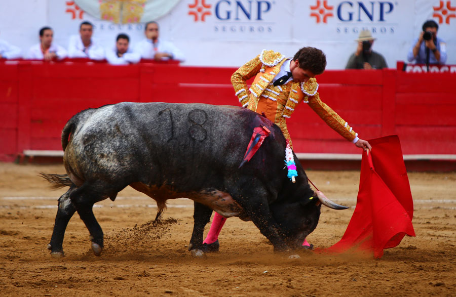 Guadalajara (México), 25 de febrero de 2018.