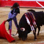 Guadalajara (México), 25 de febrero de 2018.