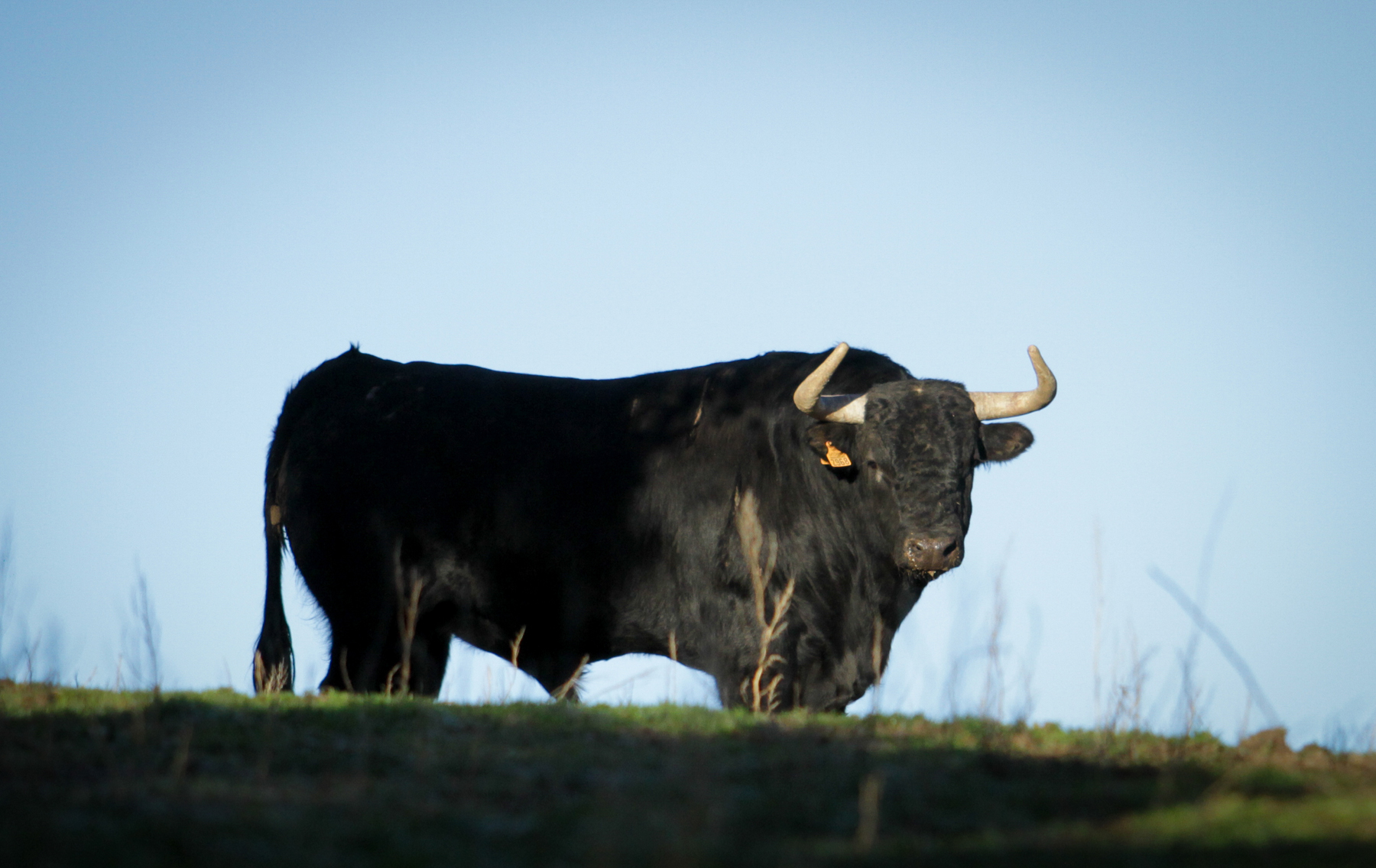 Camada de Puerto de San Lorenzo para 2018