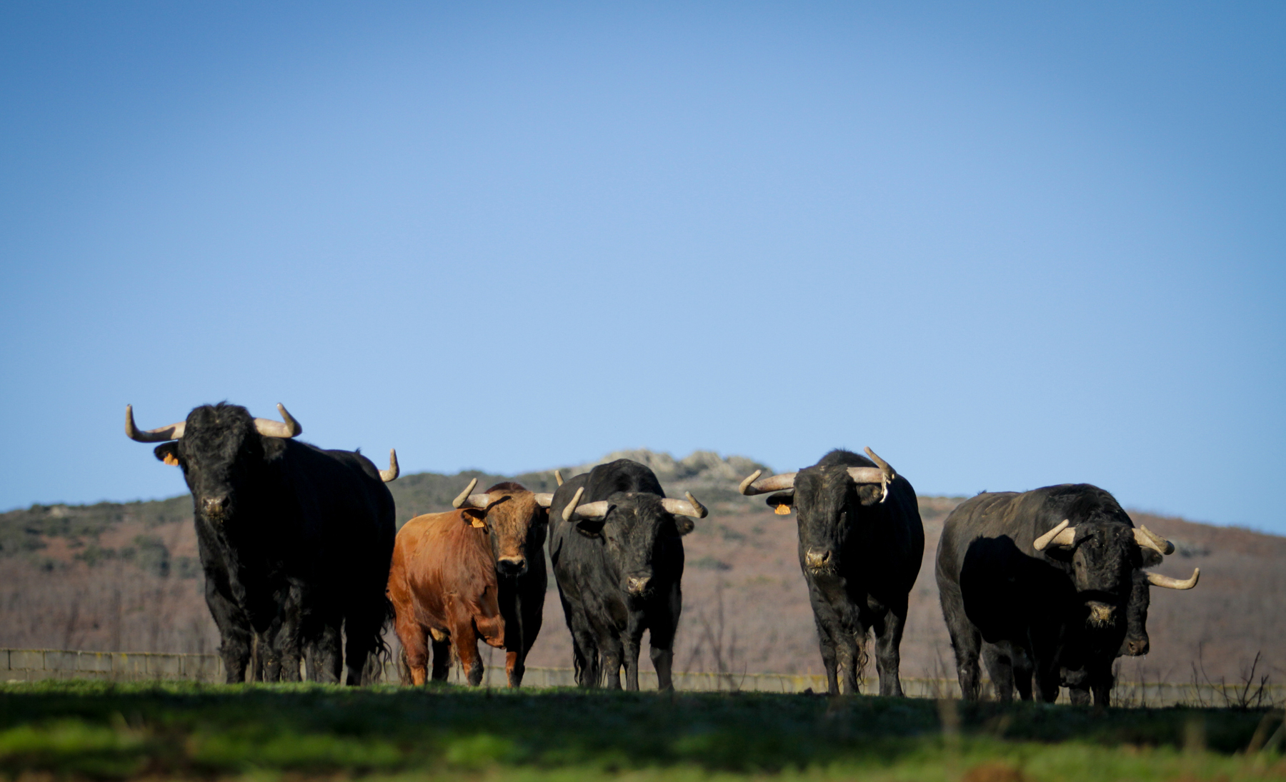 Camada de Puerto de San Lorenzo para 2018