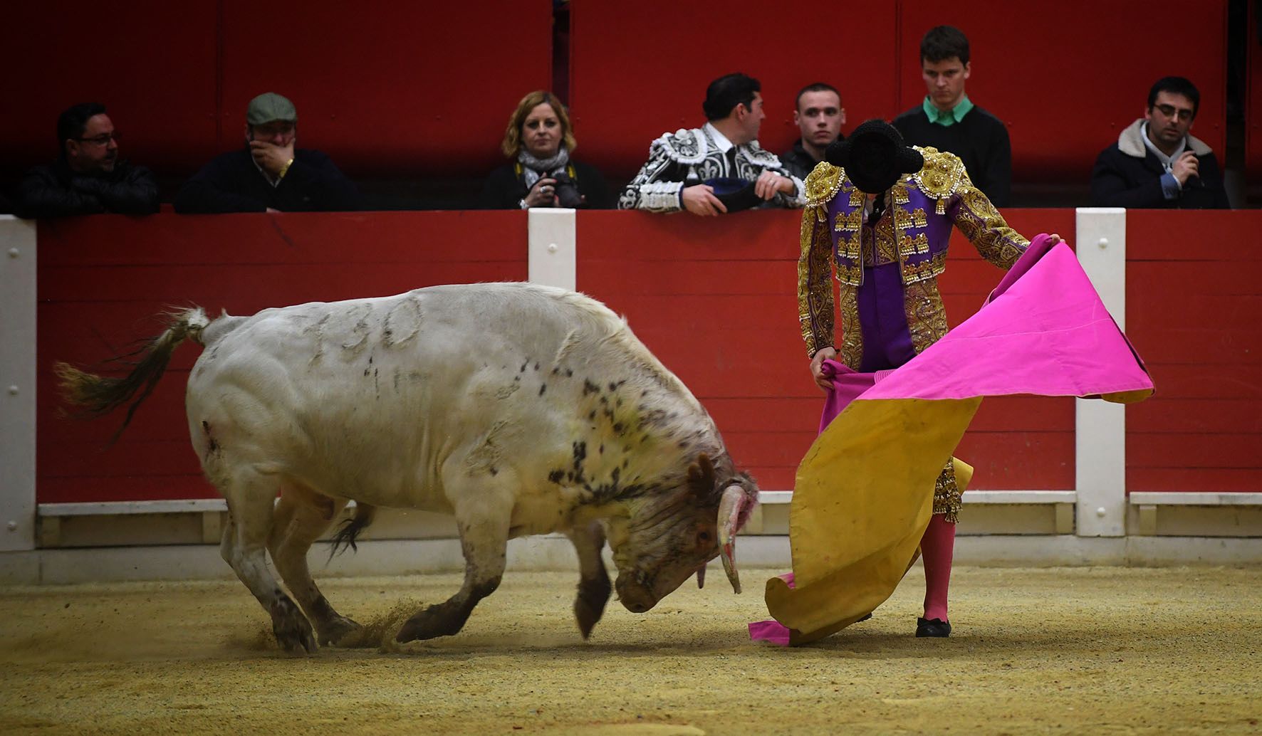 Pontonx (Dax), final V Certamen "La Fragua"