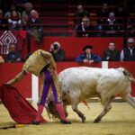 Pontonx (Dax), final V Certamen "La Fragua"