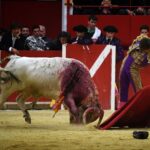 Pontonx (Dax), final V Certamen "La Fragua"