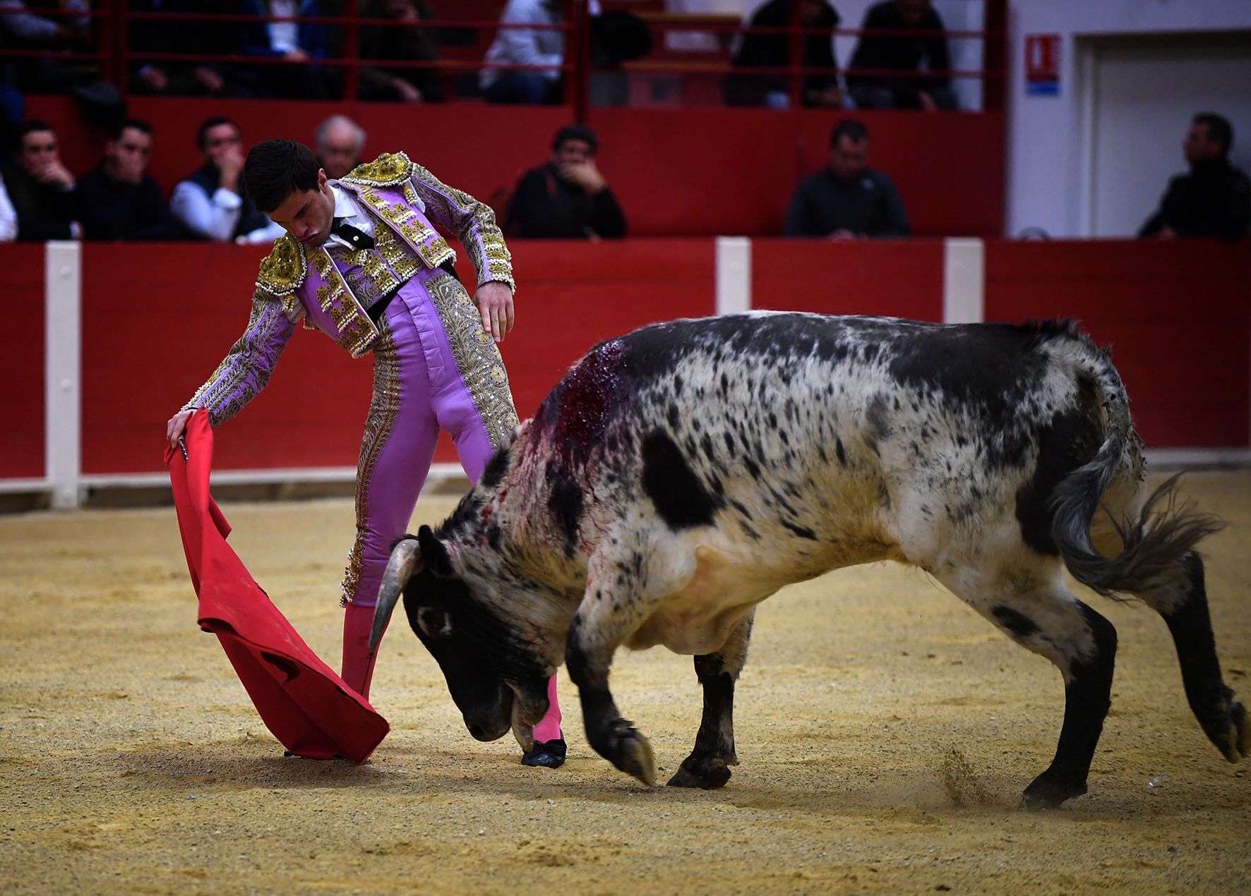 Pontonx (Dax), final V Certamen "La Fragua"