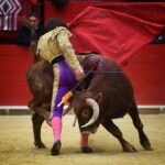 Pontonx (Dax), final V Certamen "La Fragua"