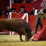 Pontonx (Dax), final V Certamen "La Fragua"