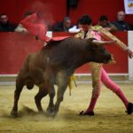 Pontonx (Dax), final V Certamen "La Fragua"