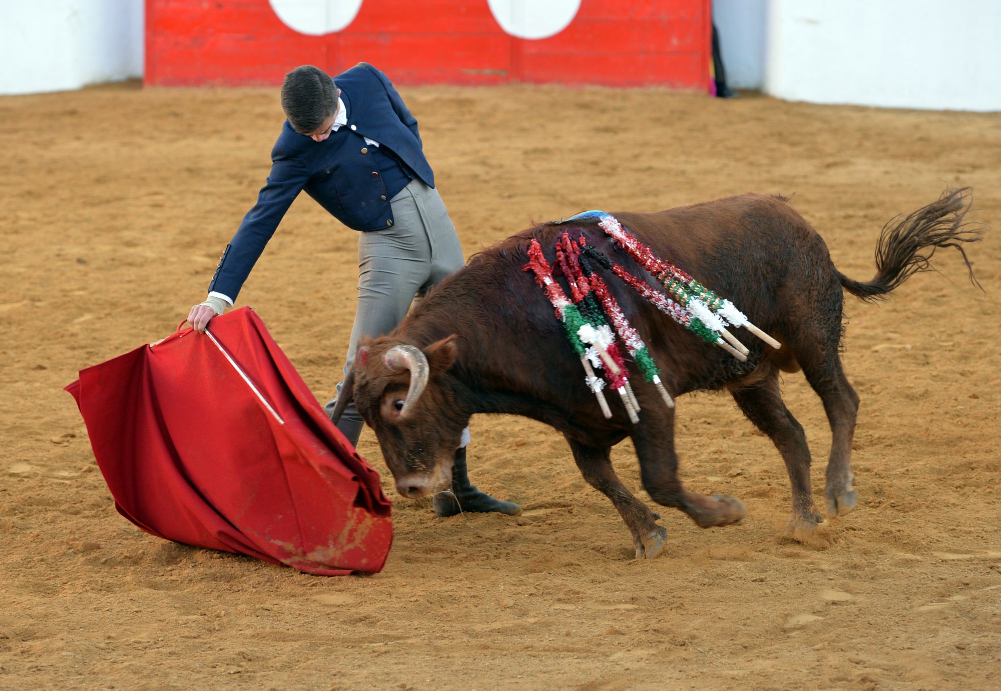 Festival de Mourao (Portugal). Jueves, 1 de febrero de 2018.