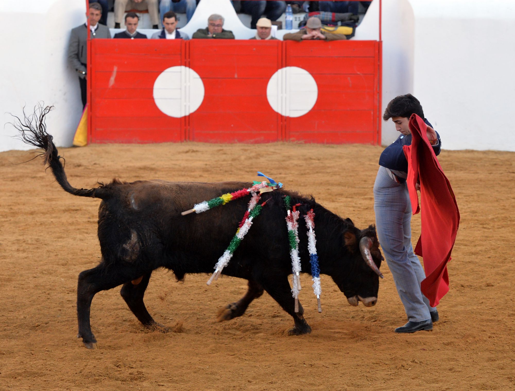 Festival de Mourao (Portugal). Jueves, 1 de febrero de 2018.