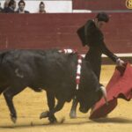 Festival en La Flecha en Arroyo de la Encomienda