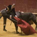 Rocío Romero, lesionada en el festival de La Flecha en Arroyo de la Encomienda