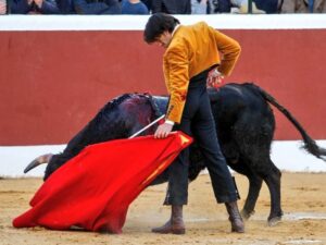 Ventura en Cantillana