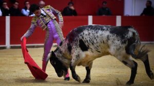 Pontonx (Dax), final V Certamen "La Fragua"