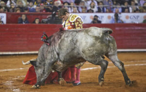 “El arte nos hace mejores, más sensibles, más unidos, más ilustrados, más críticos, más libres”, palabra de Rey... Por algo premiaron a El Juli