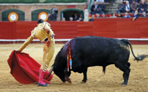 Paco Ureña estrenará en Valencia su nuevo estatus.