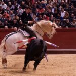 Valencia, 19 de marzo de 2018. Rejones