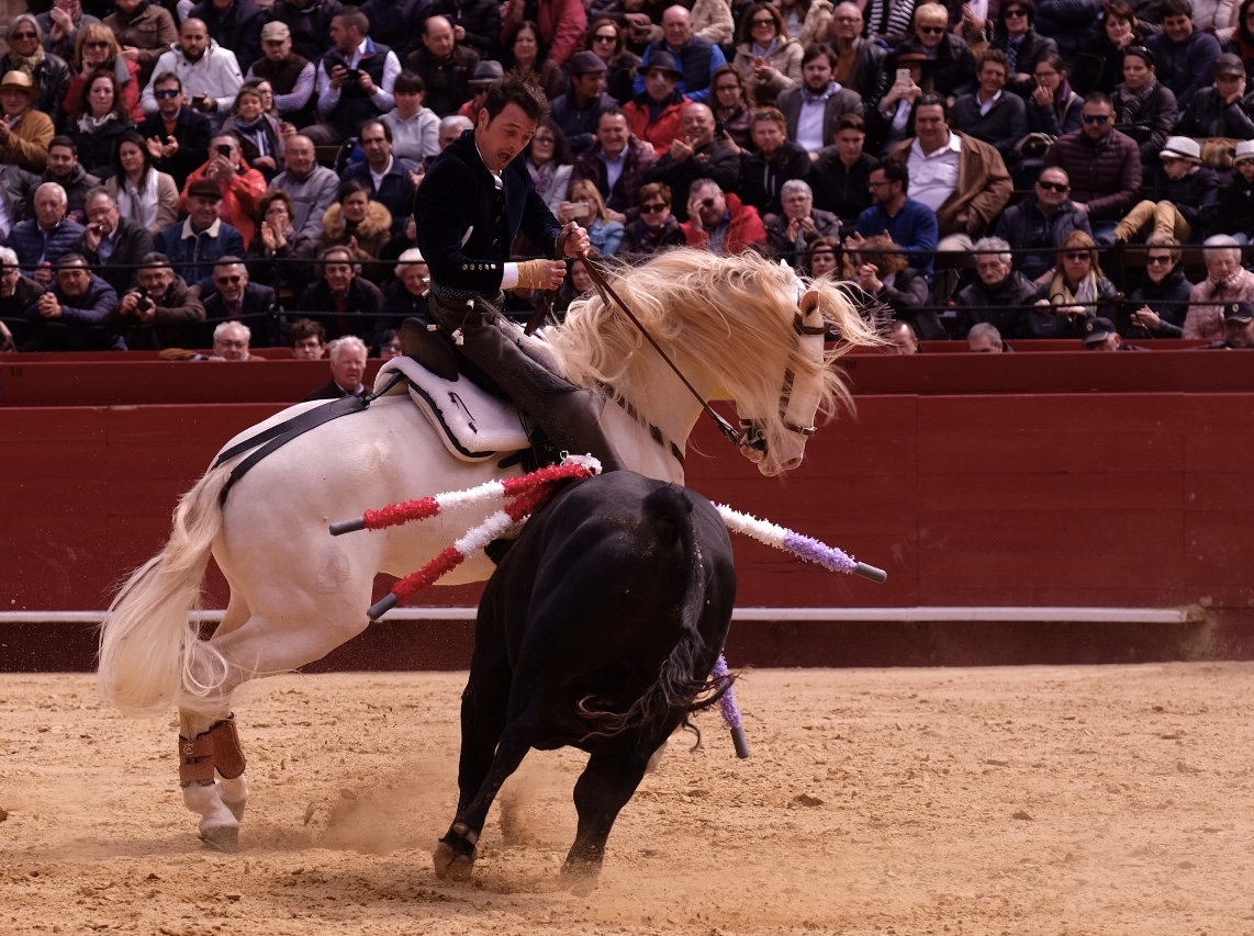 Valencia, 19 de marzo de 2018. Rejones