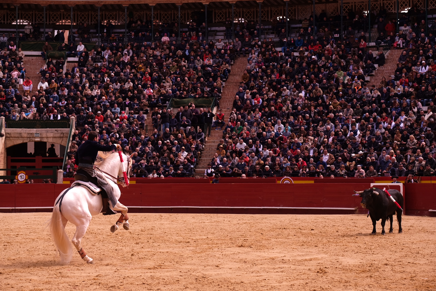 Valencia, 19 de marzo de 2018. Rejones