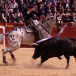 Valencia, 19 de marzo de 2018. Rejones