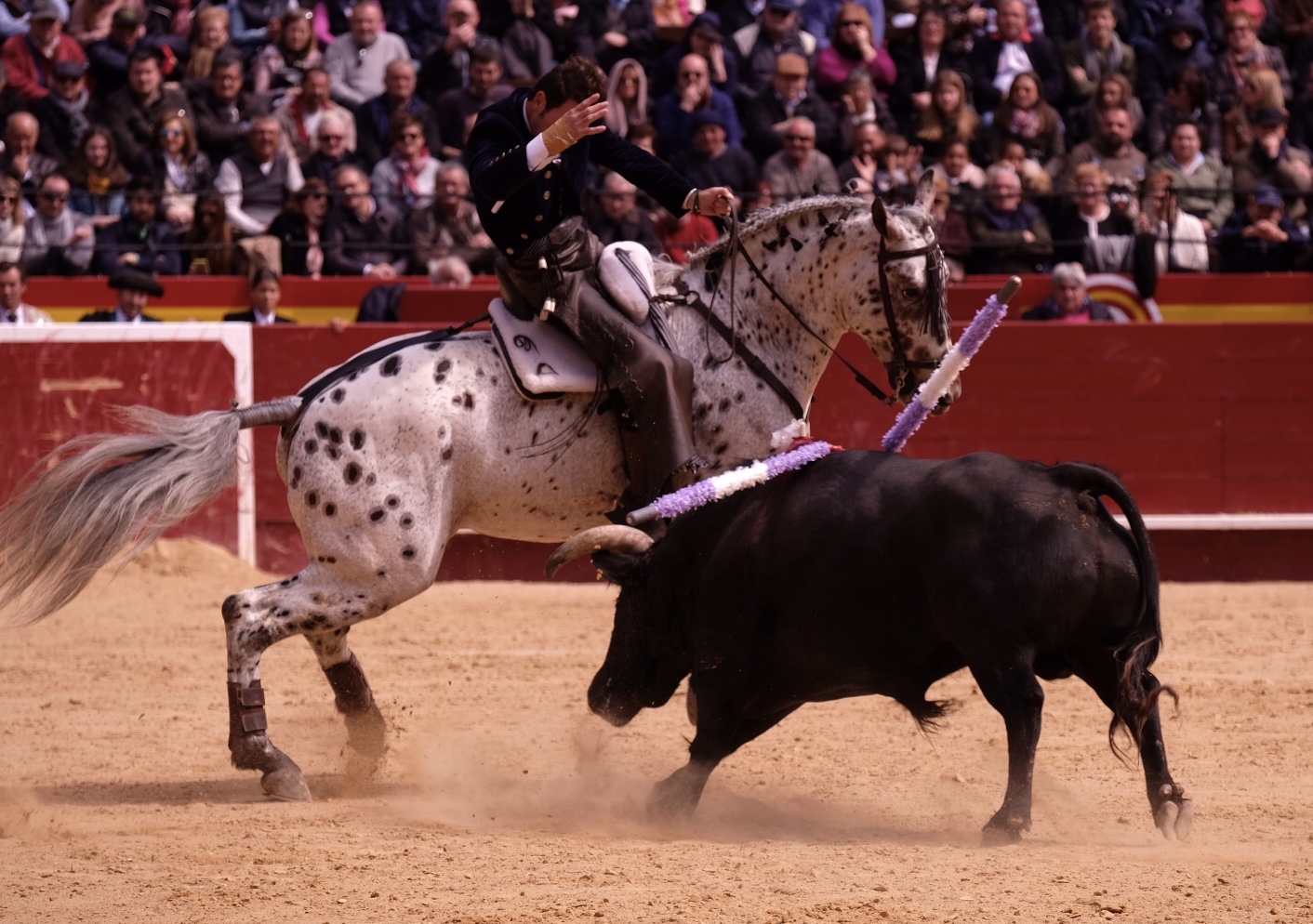 Valencia, 19 de marzo de 2018. Rejones