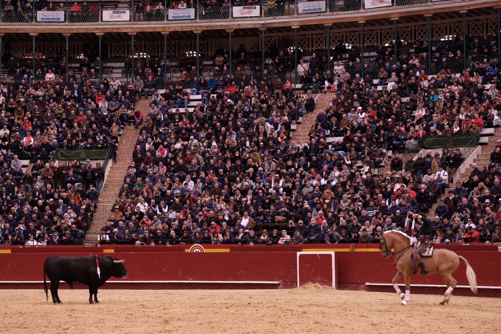 Valencia, 19 de marzo de 2018. Rejones