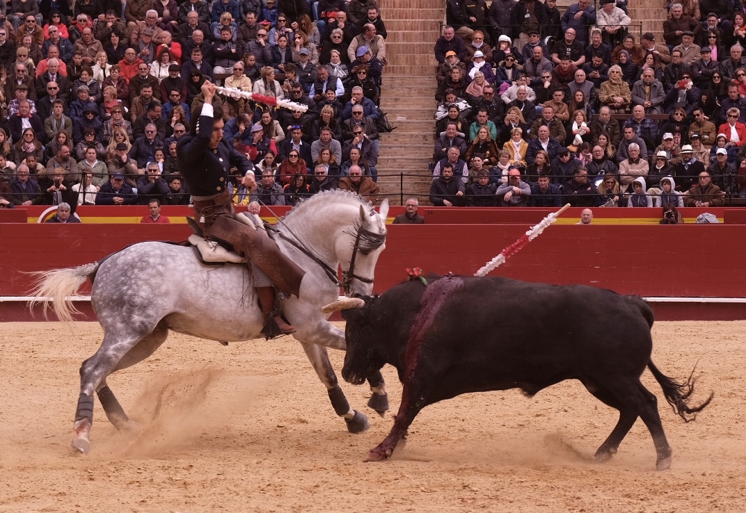 Valencia, 19 de marzo de 2018. Rejones