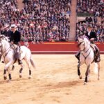 Valencia, 19 de marzo de 2018. Rejones